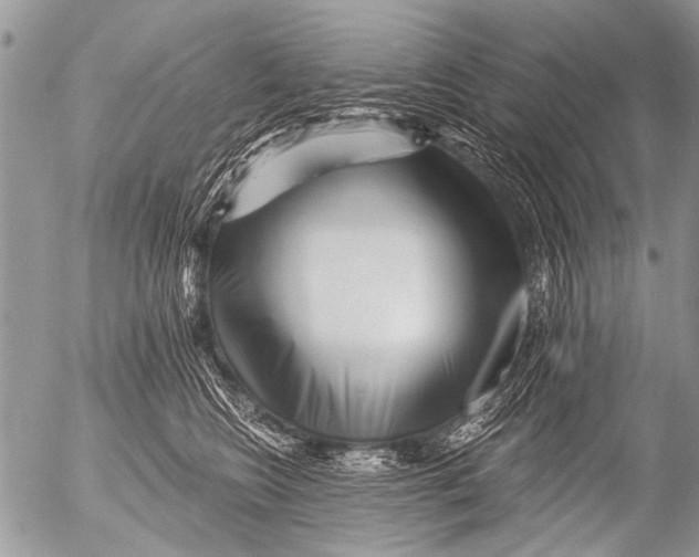 X0000054460566200508270107