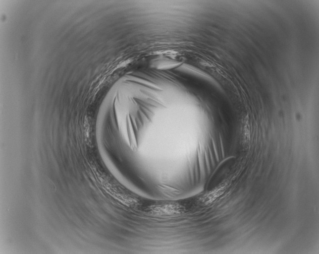 X0000054460567200508270107