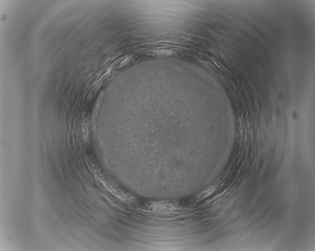 X0000054460568200508270107