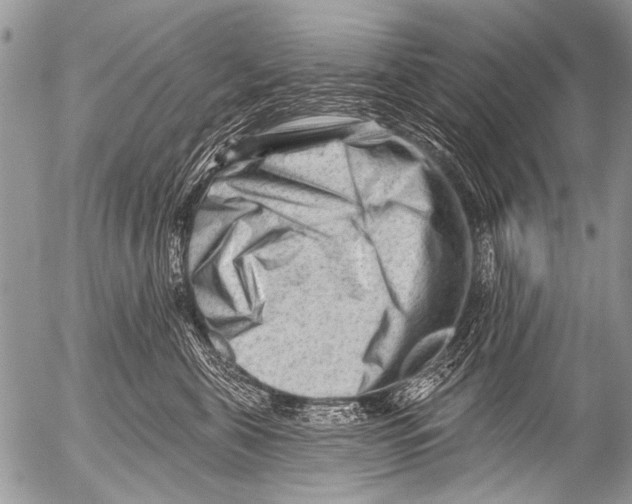 X0000054460571200508270107