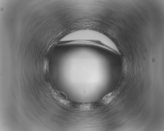 X0000054460574200508270107