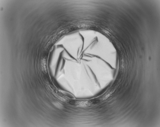X0000054460575200508270107