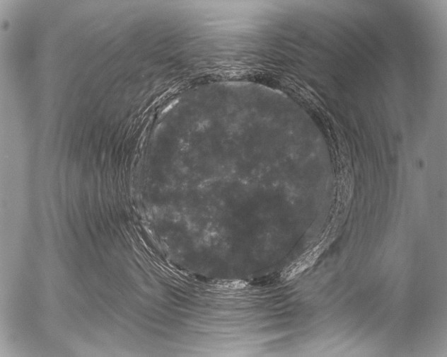 X0000054460576200508270107