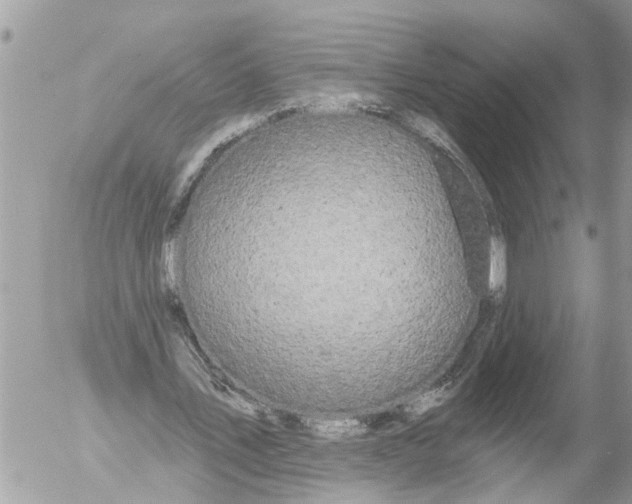 X0000054460579200508270106