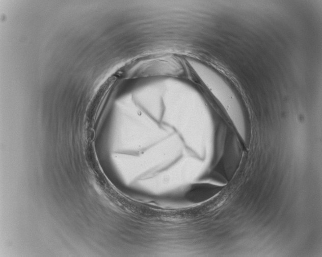 X0000054460580200508270106