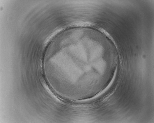 X0000054460581200508270106
