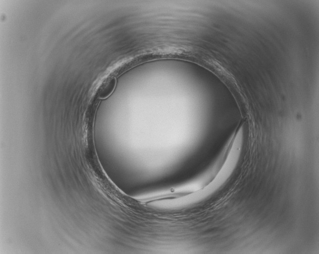 X0000054460584200508270106