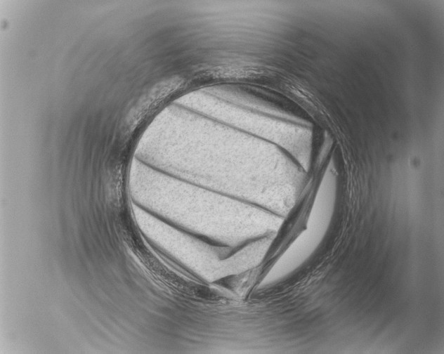 X0000054460586200508270106