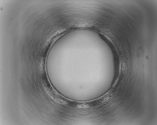 X0000054460591200508270106
