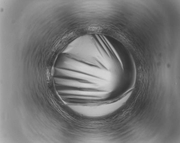 X0000054460597200508270106