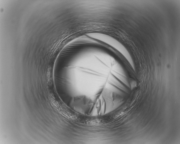 X0000054460600200508270106