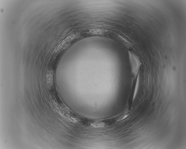 X0000054460603200508270106