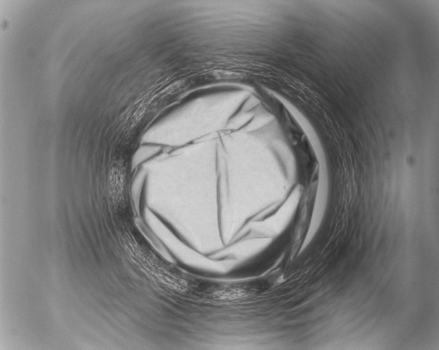 X0000054460604200508270106