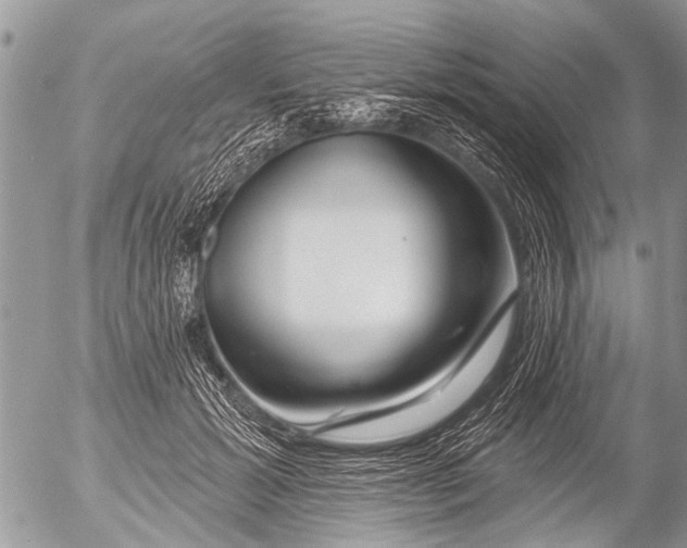 X0000054460605200508270106