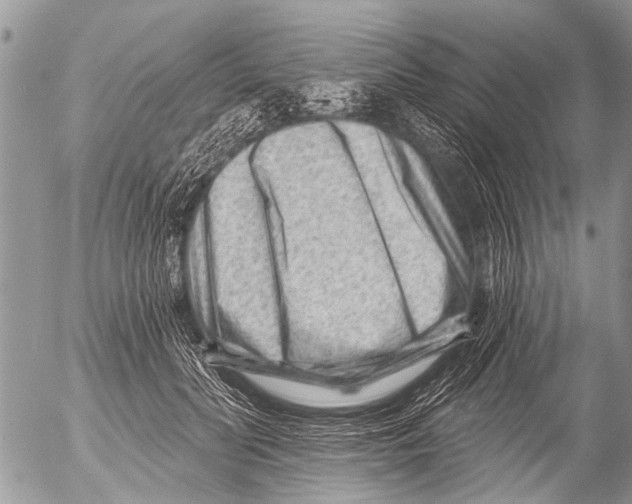 X0000054460606200508270106