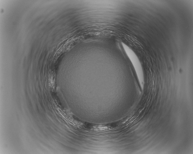 X0000054460607200508270106