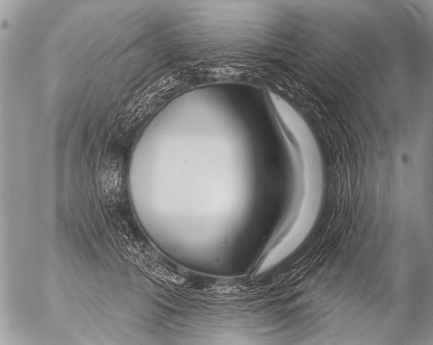 X0000054460608200508270106