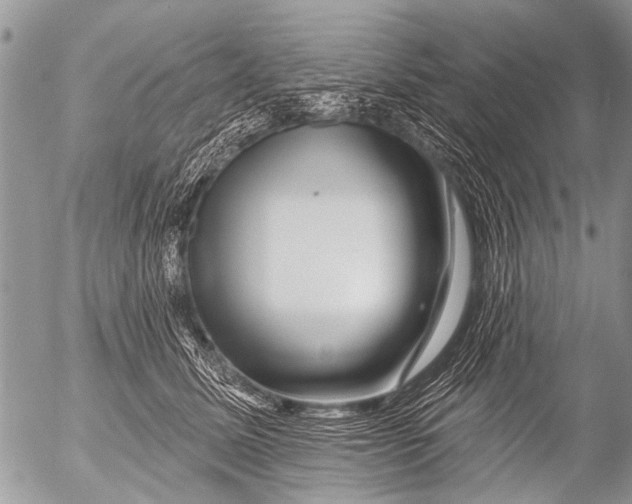 X0000054460611200508270106
