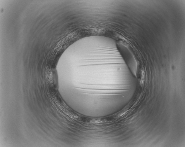 X0000054460613200508270106