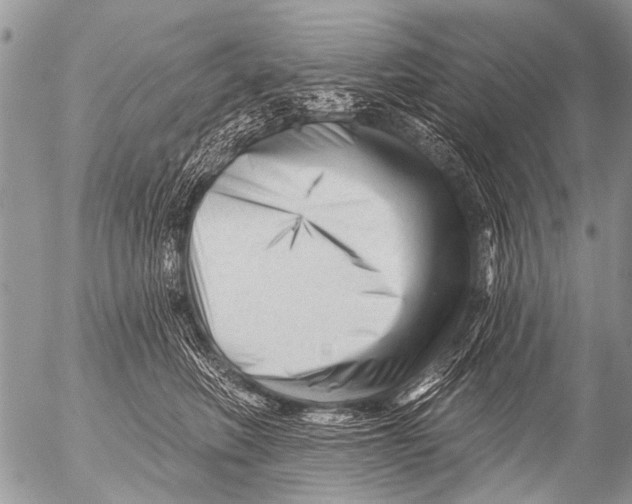 X0000054460614200508270106