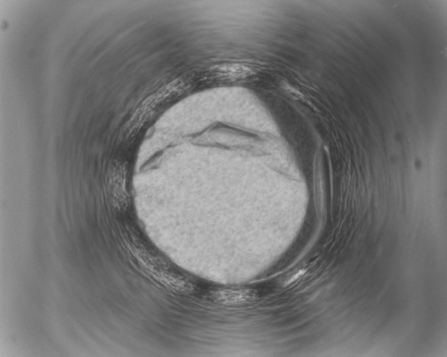 X0000054460615200508270106