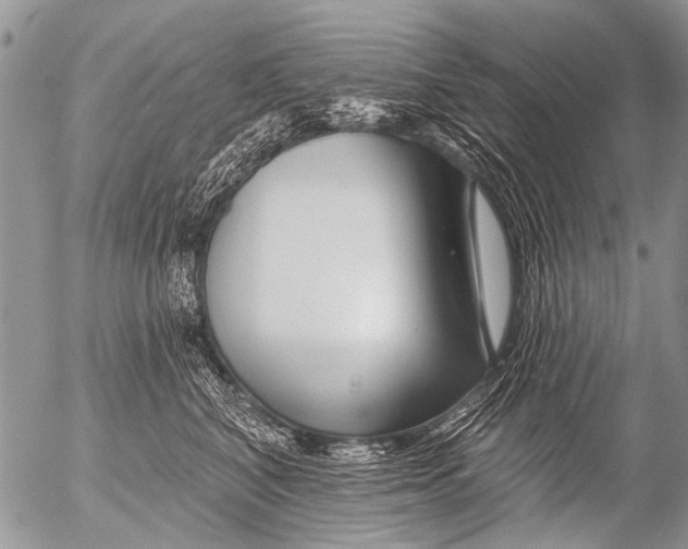 X0000054460616200508270105