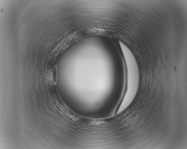 X0000054460617200508270105