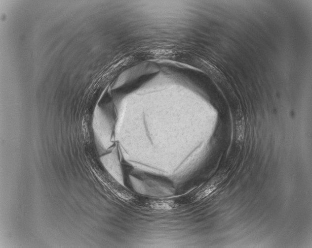 X0000054460618200508270105