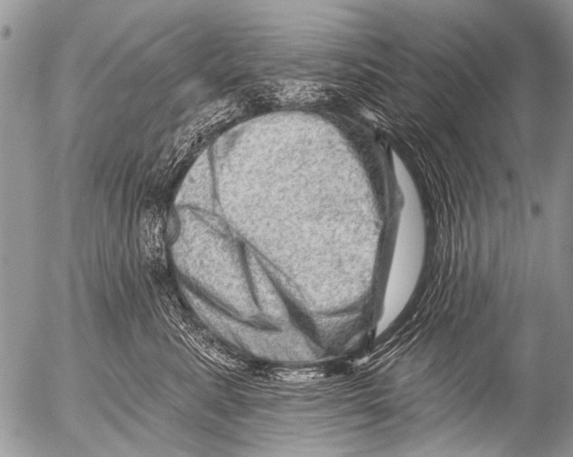 X0000054460619200508270105