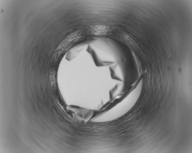 X0000054460620200508270105