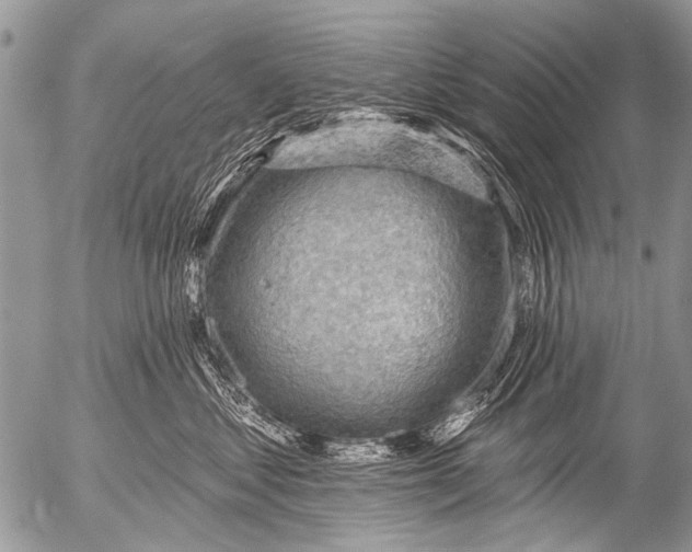 X0000054460621200508270105