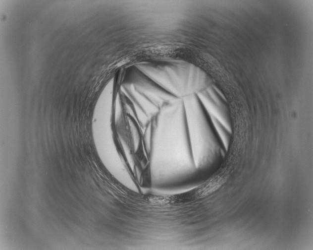X0000054460624200508270105