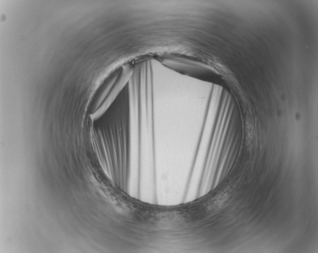 X0000054460628200508270105
