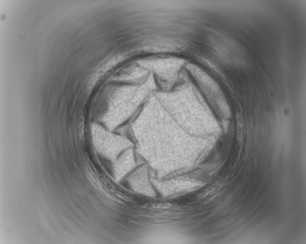 X0000054460631200508270105
