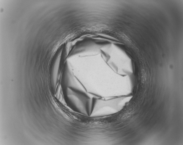 X0000054460634200508270105