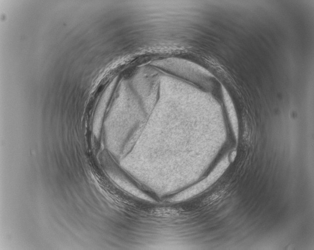 X0000054460636200508270105
