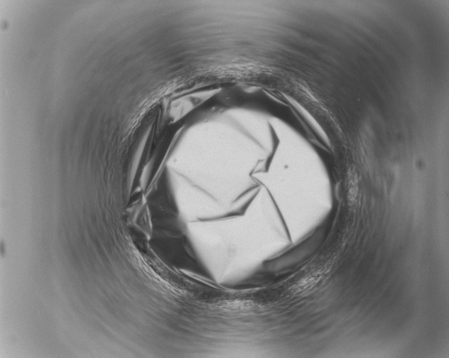 X0000054460637200508270105