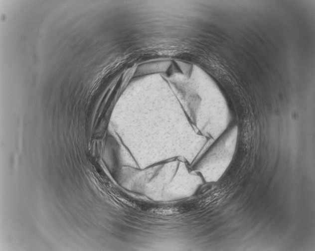 X0000054460639200508270105