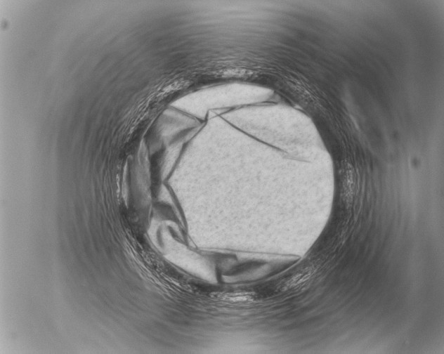 X0000054460643200508270105