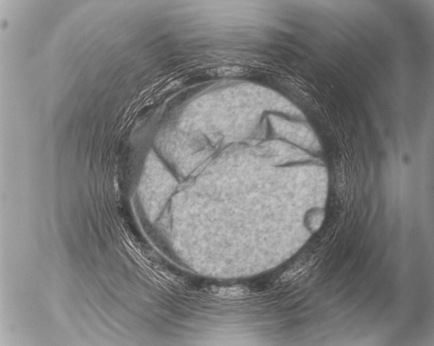 X0000054460645200508270105