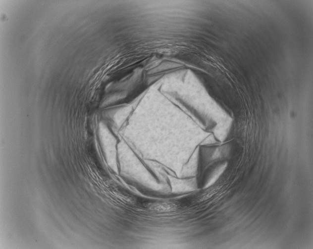 X0000054460652200508270105