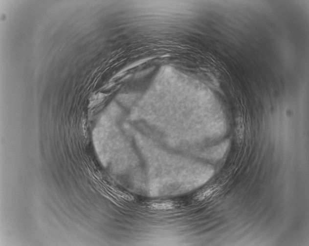 X0000054460653200508270105