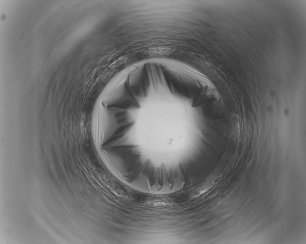 X0000054460655200508270105