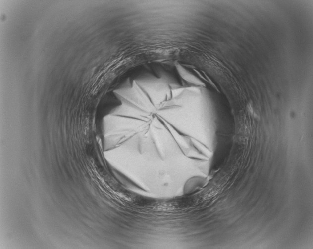 X0000054460656200508270105
