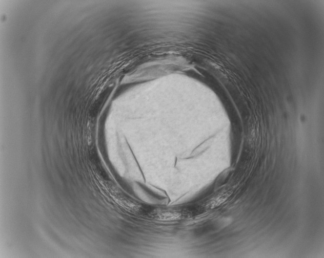 X0000054460658200508270105