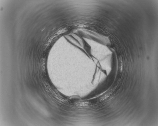 X0000054460664200508270105