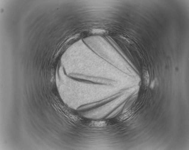 X0000054460665200508270105