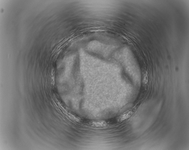 X0000054460666200508270105