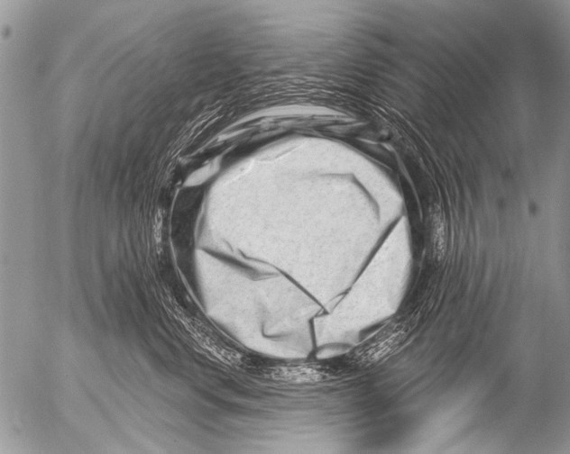 X0000054460668200508270105