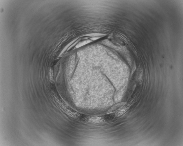 X0000054460669200508270105